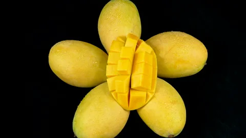 Diced Mango Slice on Five Ripe Mangoes Arranged as Flower Rotating 動画素材 335257385