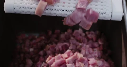 Diced raw pork falling from modular conveyor belt, Overhead View Stock Footage 340036811