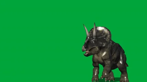 Diceratops Charging Forward Attack Video stock 32846662