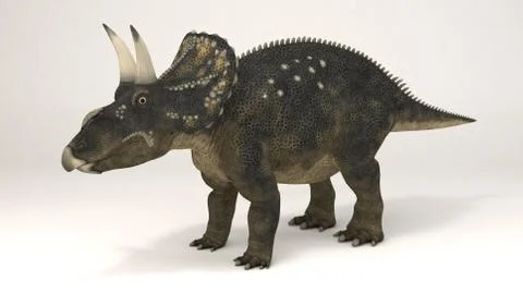 Diceratops Stock Illustration