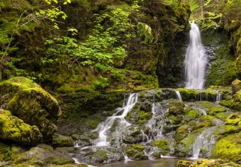 Dickson falls (slow shutter speed) Stock Photos
