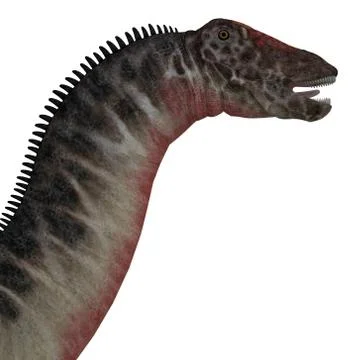Dicraeosaurus Dinosaur Head Stock Illustration