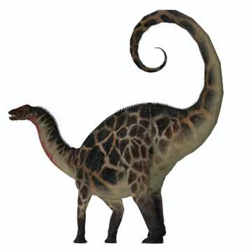 Dicraeosaurus Dinosaur Tail Stock Illustration