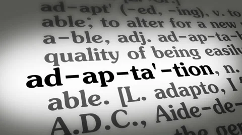 Dictionary Adaptation Video stock 35257530