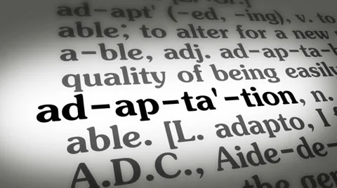 Dictionary Adaptation Video stock 35257911