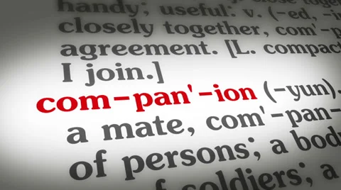 Dictionary Companion Stock Footage 35429287