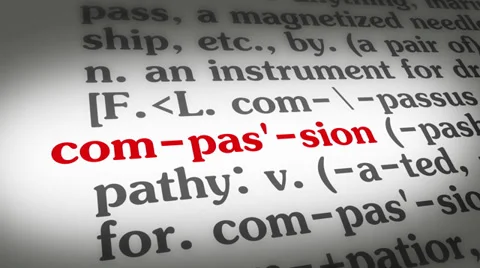 Dictionary Compasion Stock Footage 35426633