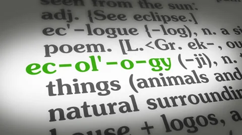 Dictionary Ecology Stock Footage 35403226
