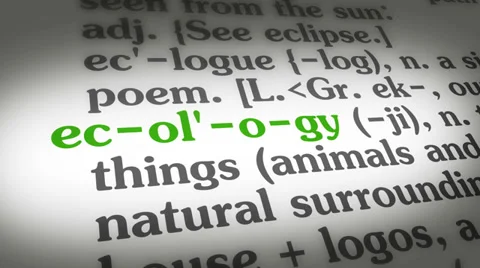 Dictionary Ecology Stock Footage 35404548