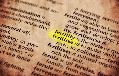 Dictionary word Stock Photos