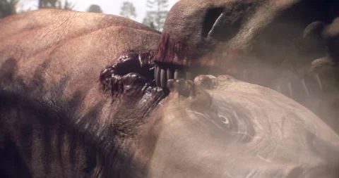 Dicynodont ancient dinosaur gets eaten Video stock 245209992