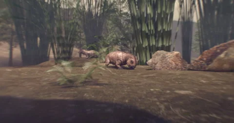 Dicynodont ancient dinosaur in permian era 2 Vidéo 245210026