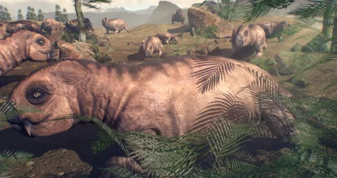 Dicynodont ancient dinosaur in permian era 3 Видео 245210256