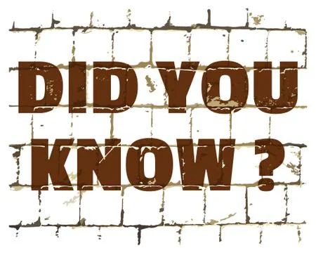 Did You Know, message printed on brick wall. Textured inscription. Vector Stock Illustration