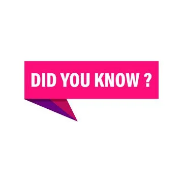 Did you know speech bubble banner vector with copy space for business, market Illustrazione stock