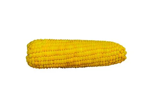 Die-cut image of corn, yellow vegetables, white background Stock Photos