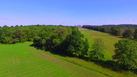 Diebold Crane Turn Video stock 77630826