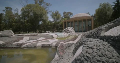 Diego Rivera Art Work, Carcamos Mexico Stock Footage 139238972