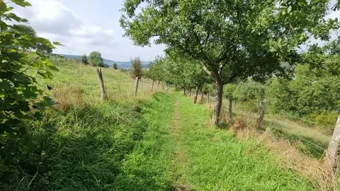 Diekirch, Luxembourg Stock-Footage 249577077