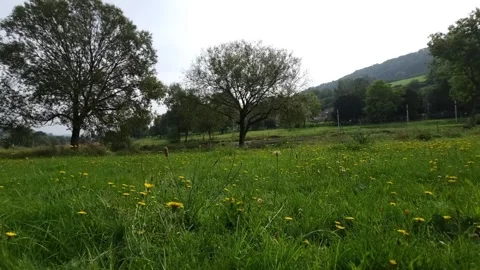 Diekirch, Luxembourg Stock-Footage 249577221