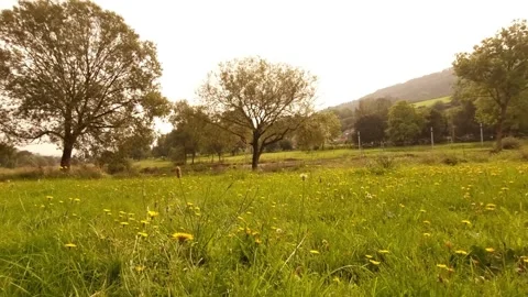 Diekirch, Luxembourg Stock-Footage 249577224