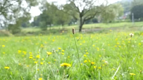 Diekirch, Luxembourg Stock-Footage 249577253