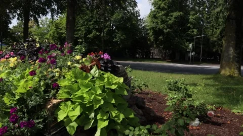 Diekirch, Luxembourg Stock-Footage 273234072