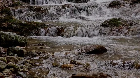 Diery Stock Footage 82957771