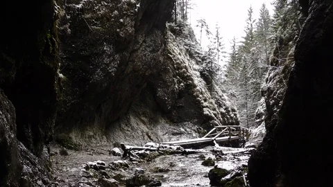 Diery Video stock 82957794