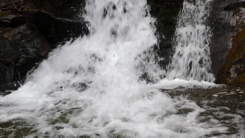 Diery Stock Footage 82958213