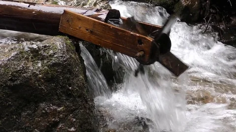 Diery Stock-Footage 82958237