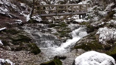 Diery Stock Footage 82958250