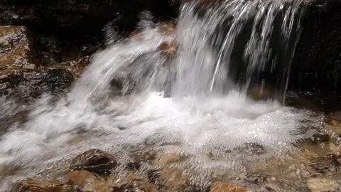 Diery 스톡 동영상 82958528