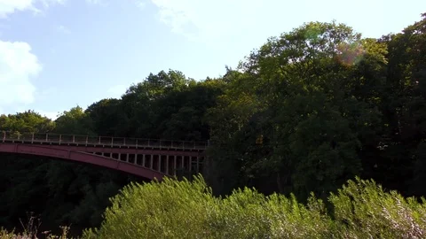 Diesel engine pulling steam train carriages country bridge Stock Footage 80291214