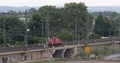 Diesel Locomotive on Elevated Tracks Freight German Transportation in Dresden 4k or 4k+ Resolution