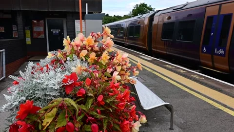 Diesel powered passenger railway train England UK Stock Footage 253482253