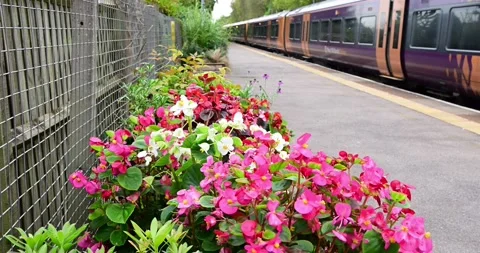 Diesel powered passenger railway train England UK Stock Footage 253875797