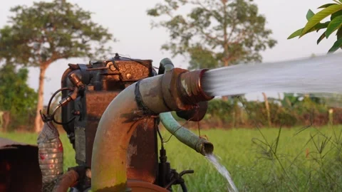 Diesel Water Pump Irrigating Stock Footage 326159402
