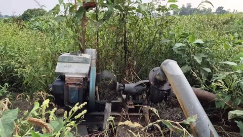 Diesel Water Pump Machine Irrigating Crop Fields In Bangladesh 動画素材 338422186