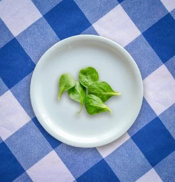 Diet concept of salad leaves on empty plate Photos