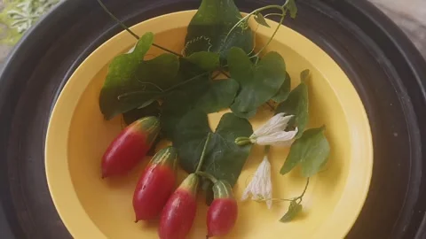 Diet in Dream Video stock 297752241