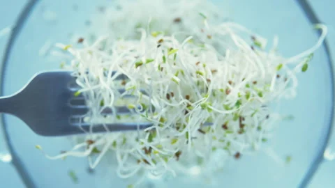 Diet with microgreens. Stock Footage 258578235