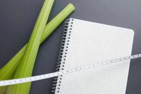 Diet plan mockup Foto stock
