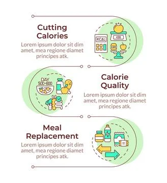 Diet program organization infographic vertical sequence 库存插图