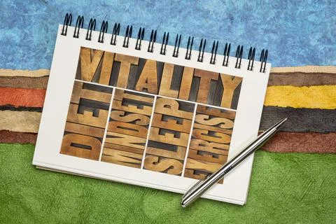 Diet, sleep, exercise and mindset - vitality concept Stock-Fotos