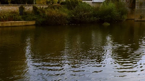 Diezer Counts Castle Stock Footage 119121581