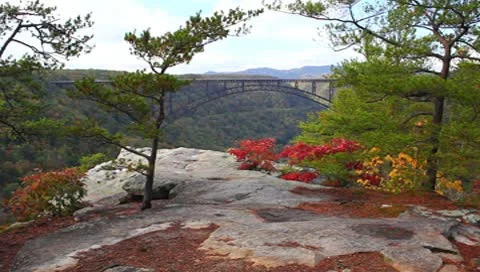 A differant view Stock Footage 8838844