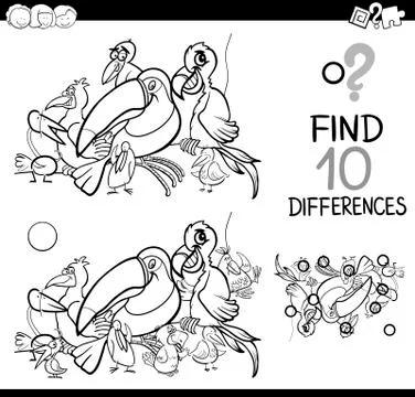 Difference activity with birds Stock Illustration