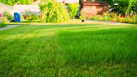 Difference before and after lawn mowing close-up. Country property with green Video stock 342603710