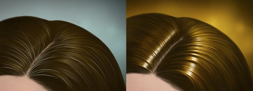 The difference between before and after white hair problems premature . Left Stock Illustration